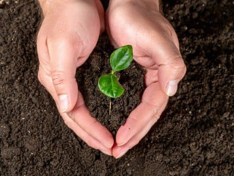 What does NPK stand for on fertilizer bags?