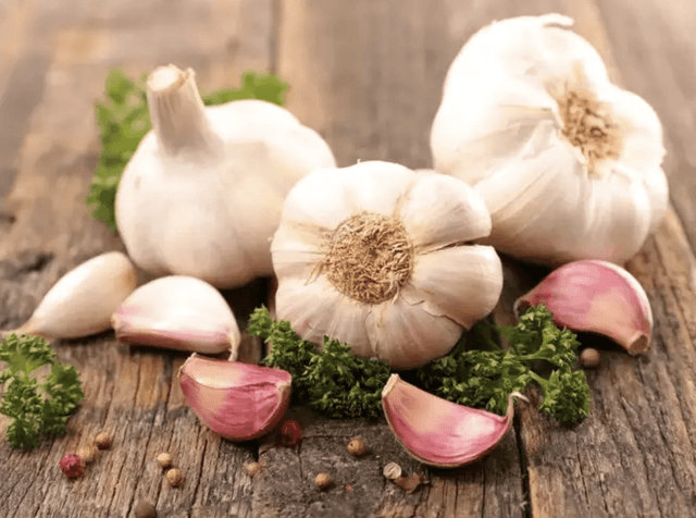 Growing Great Garlic