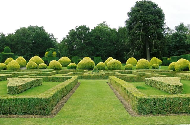 Good Plant Hedges Make Good Neighbours