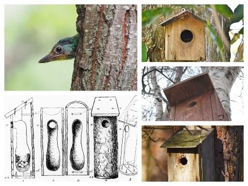 Gardening for birds: All about nesting logs and boxes