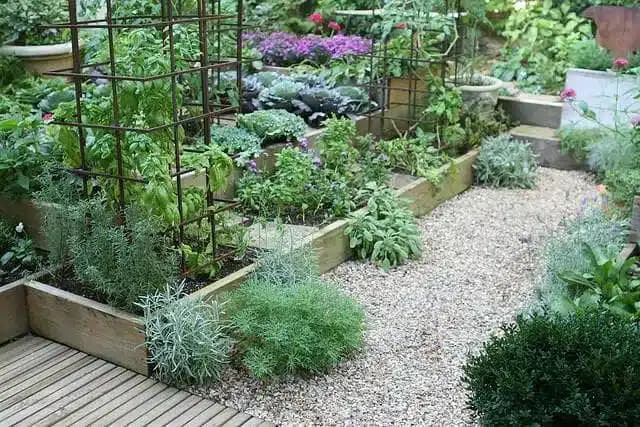 Grow a Kitchen Garden in 16 Square Feet