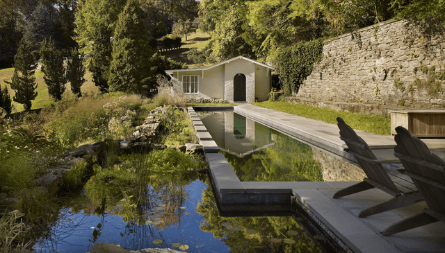 Natural Swimming Pools: More Beauty, No Chemicals