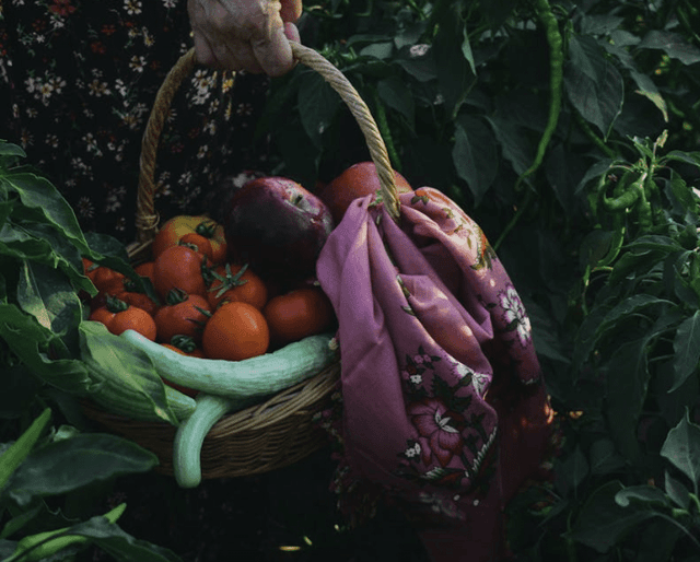 Grow your own
