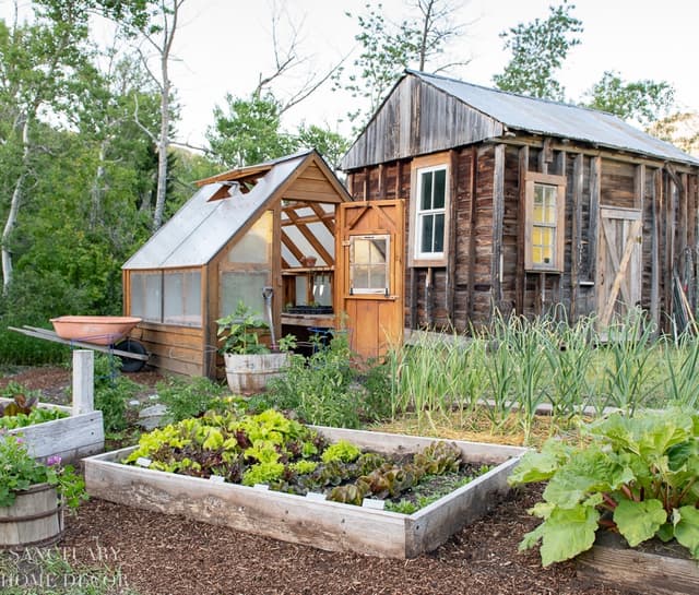 Selecting a site for your food garden