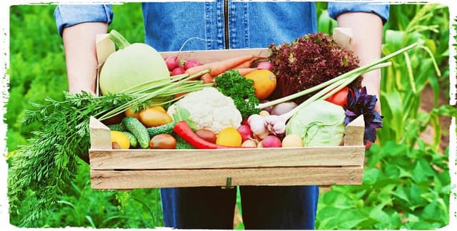 The many faces of edible gardening