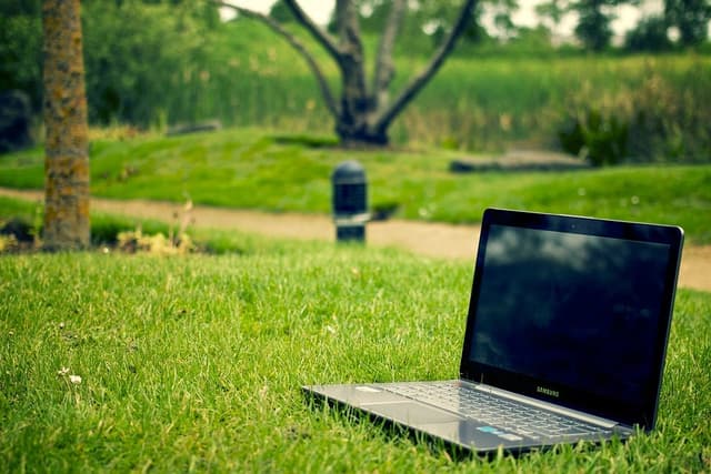 A lush green lawn in 5 easy steps