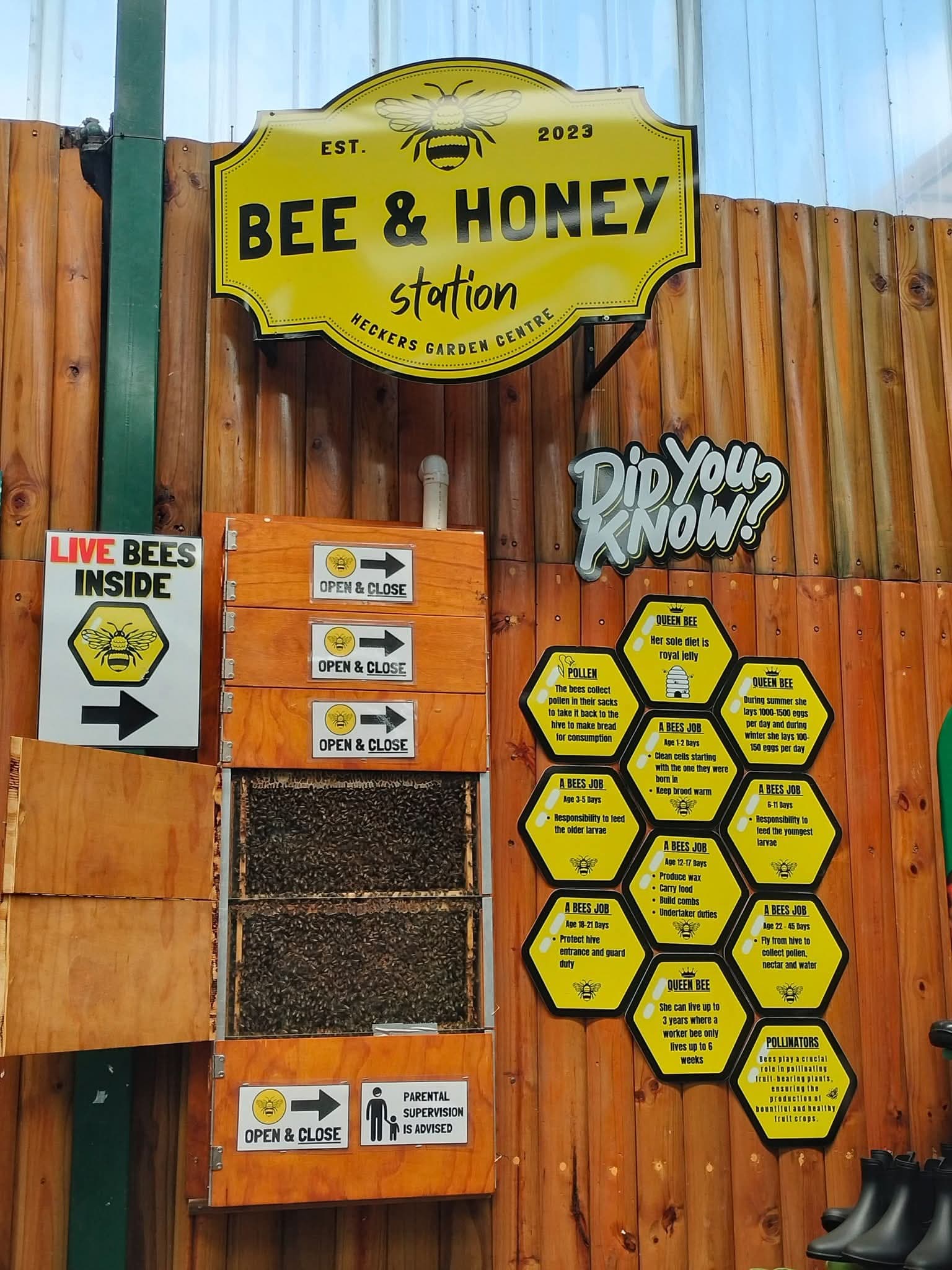 Bee & Honey Show