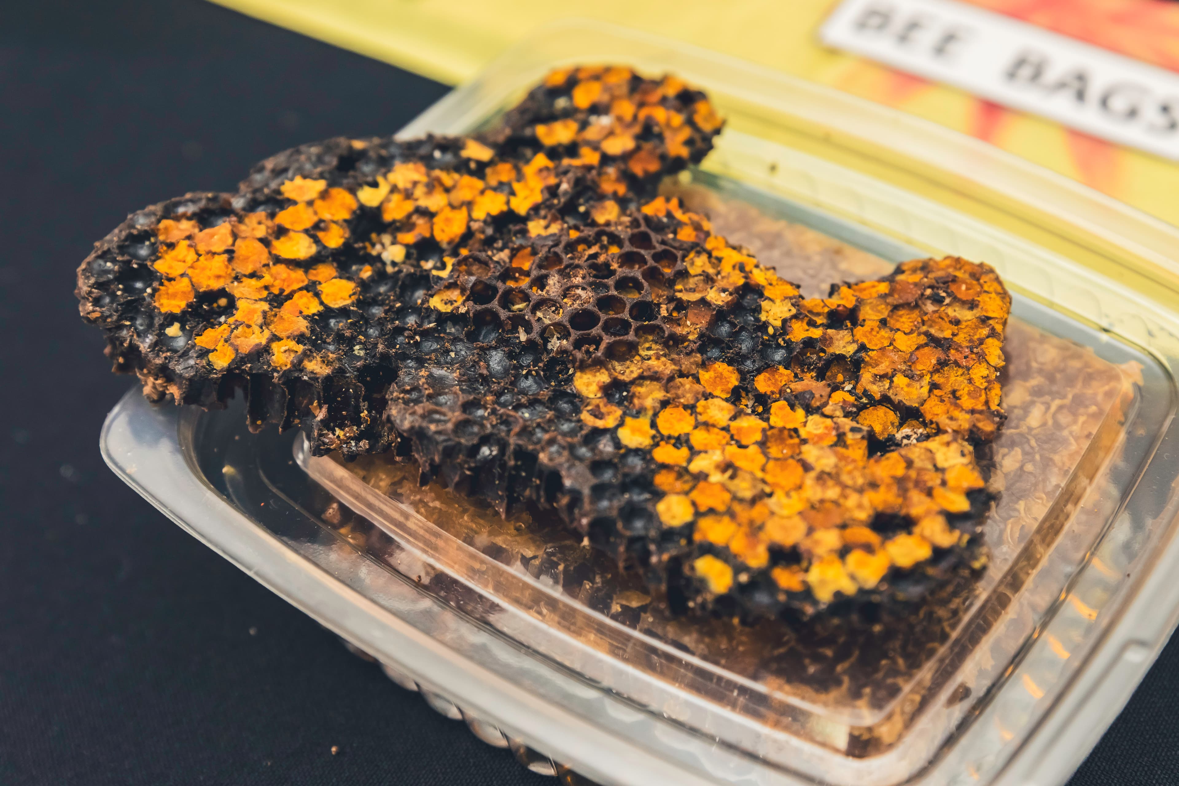 Bee & Honey Show