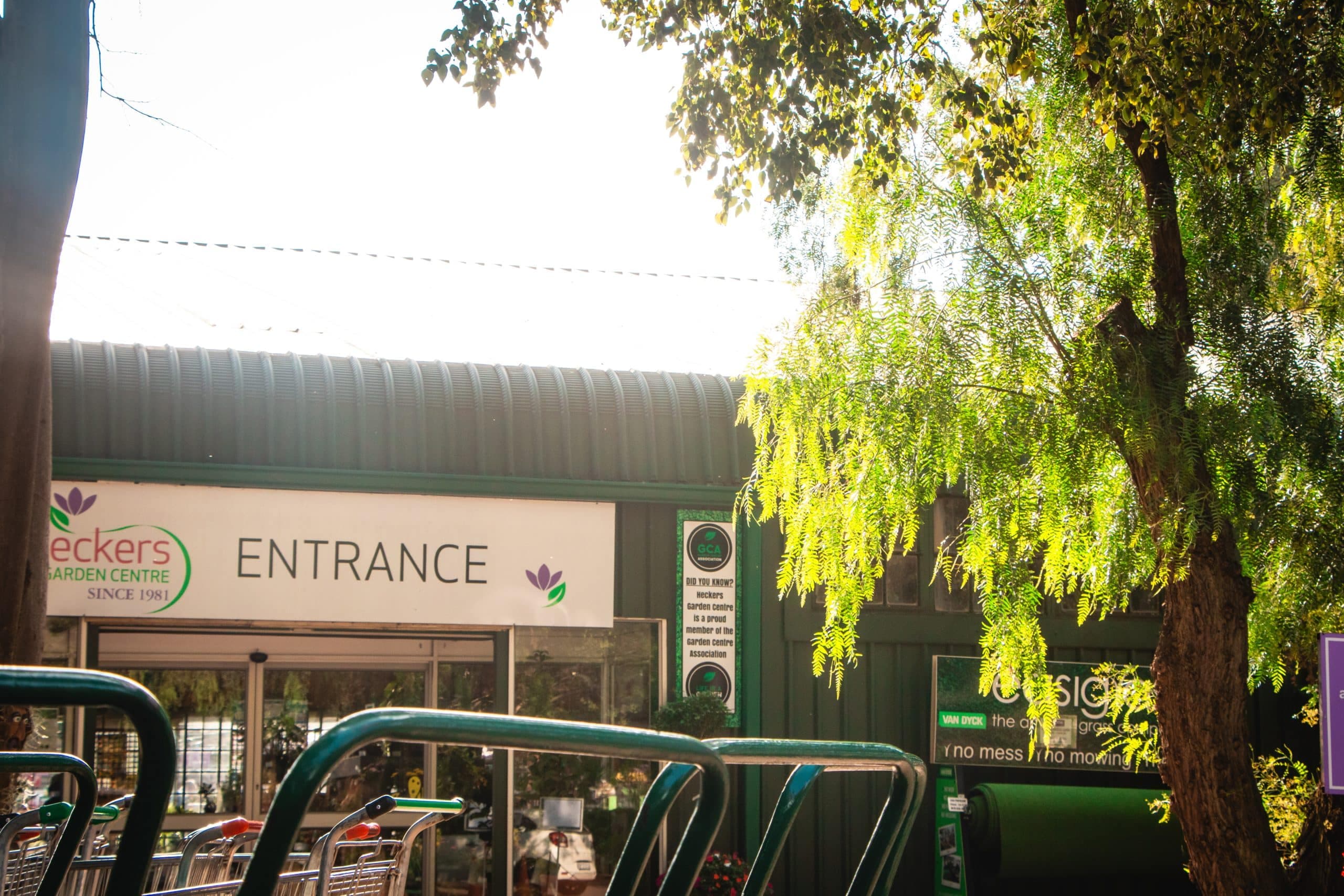 The Store