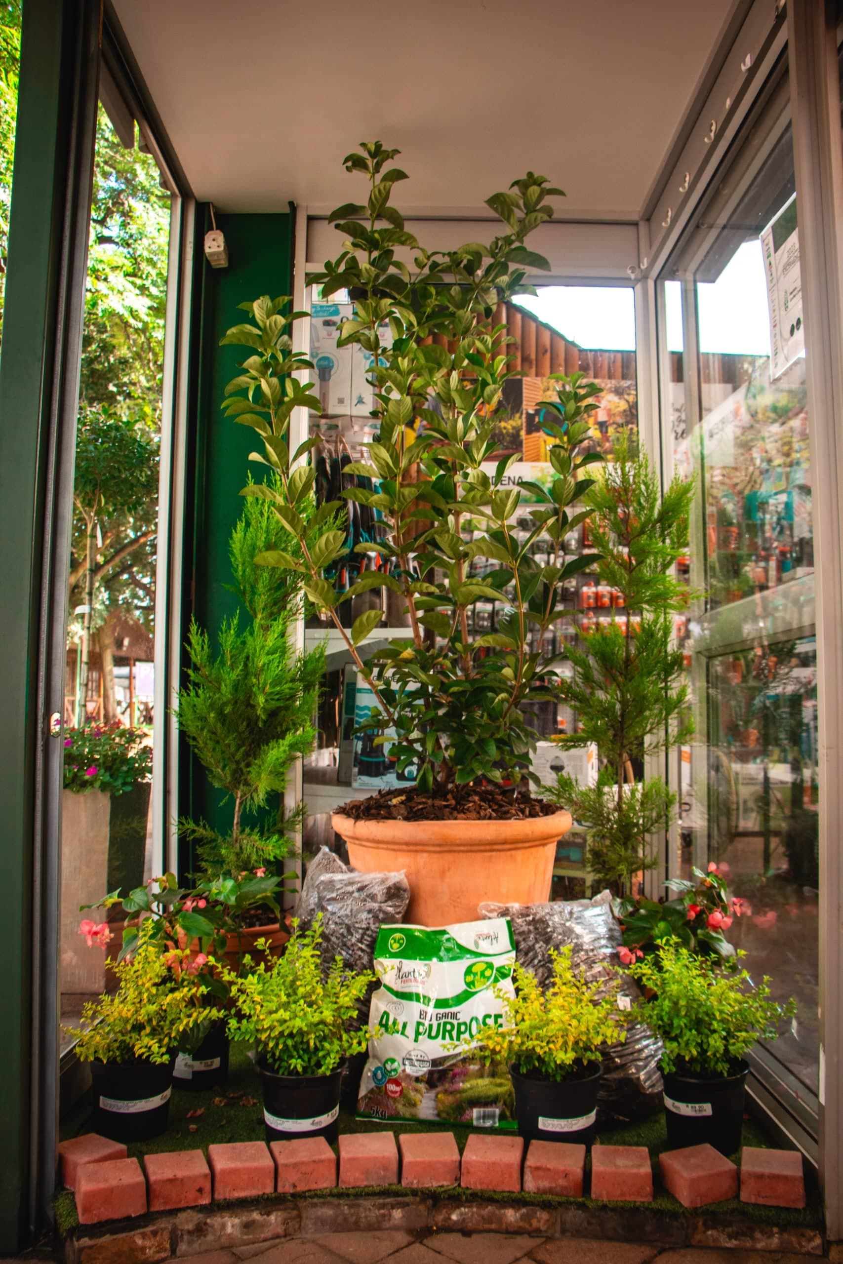 The Store