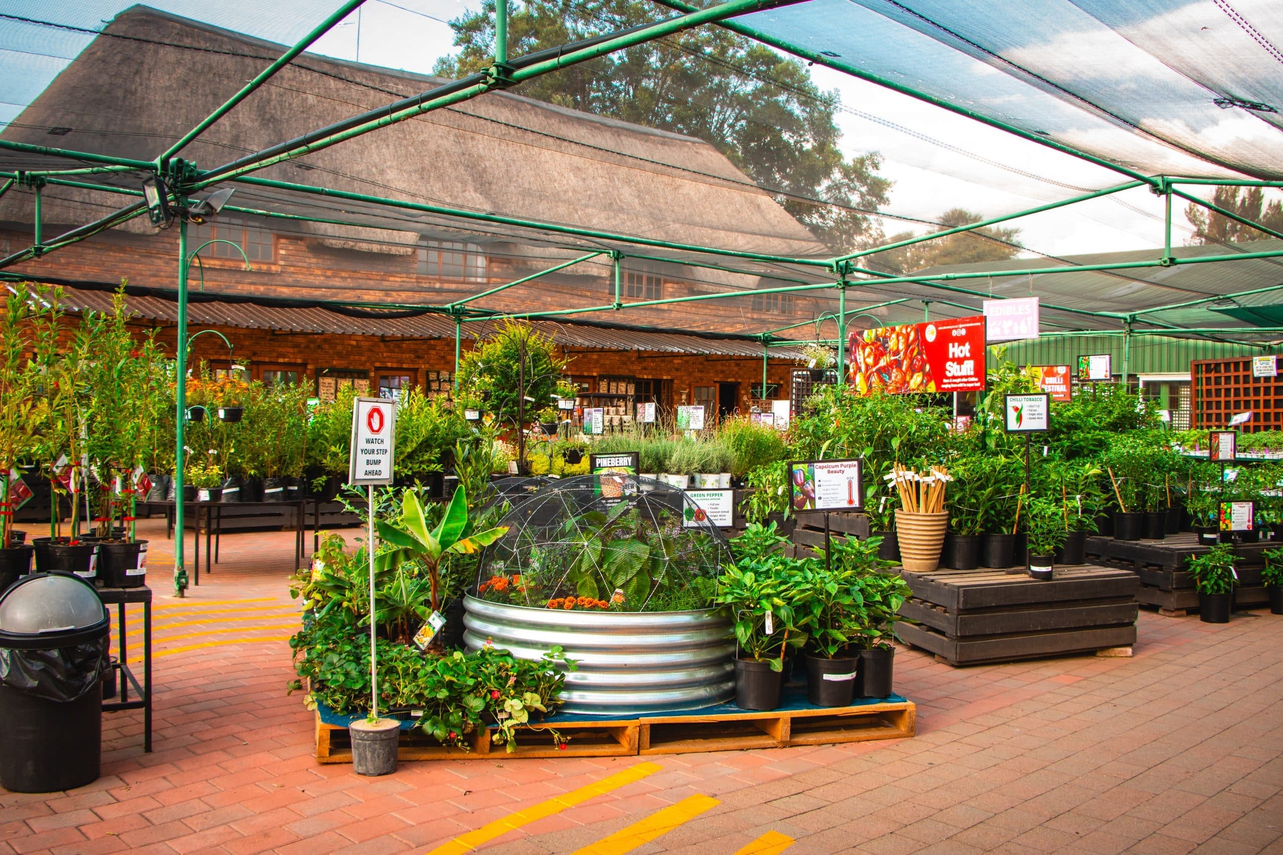 The Store