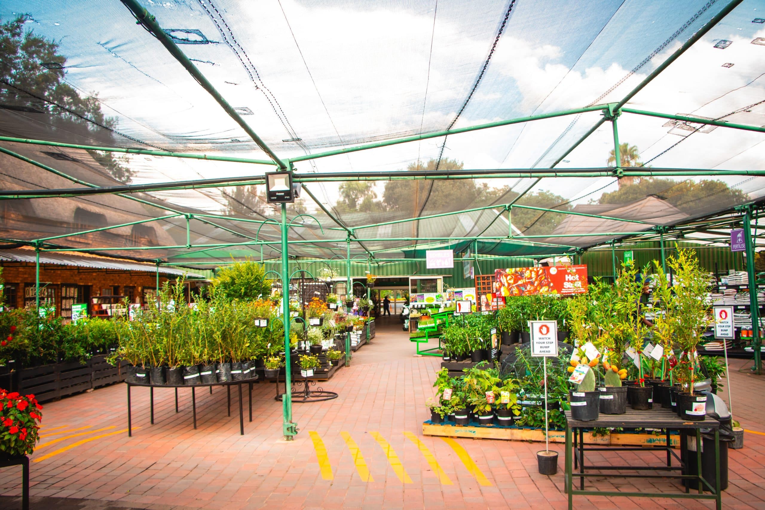 The Store
