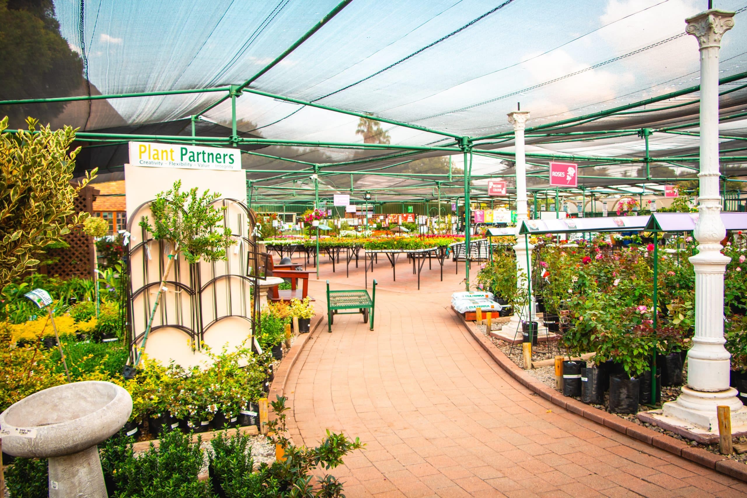 The Store