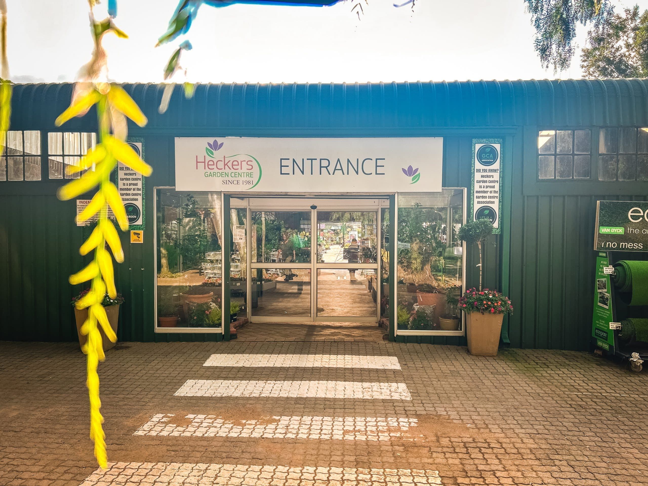 The Store