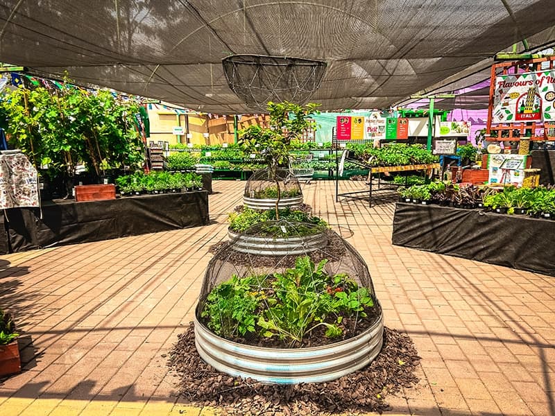 Grow To Eat Festival