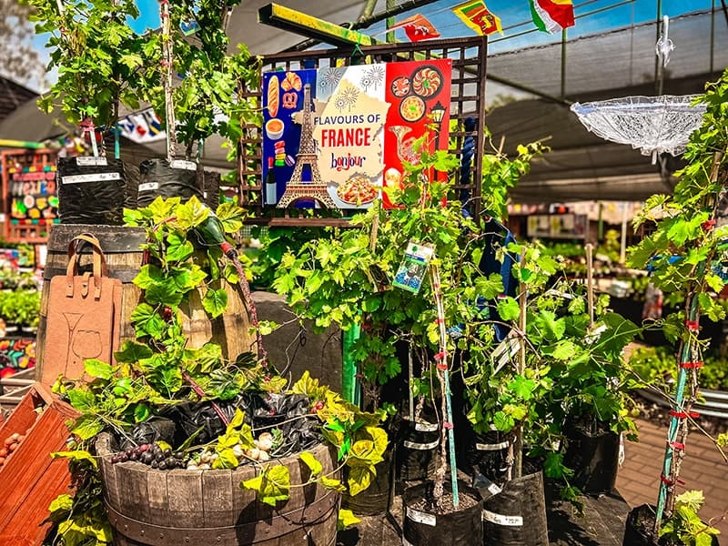 Grow To Eat Festival