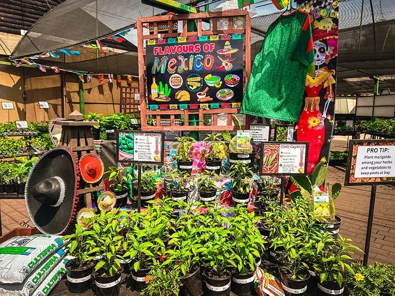 Grow To Eat Festival