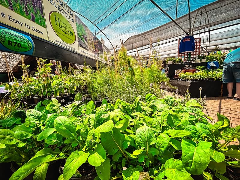 Grow To Eat Festival