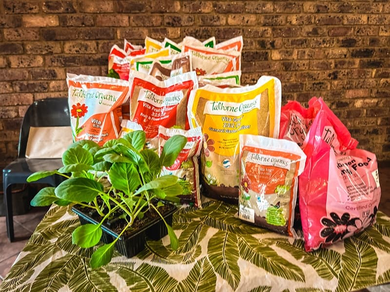 Grow To Eat Festival