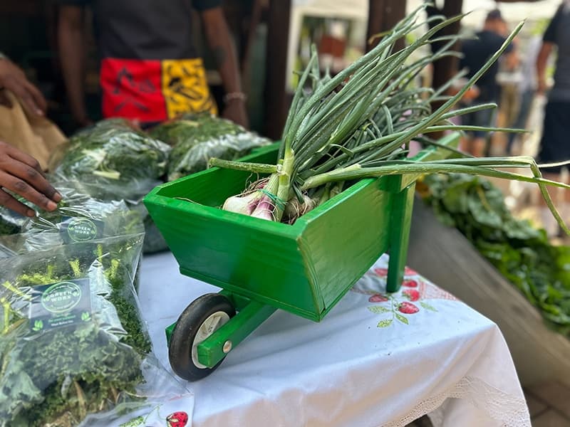Grow To Eat Festival