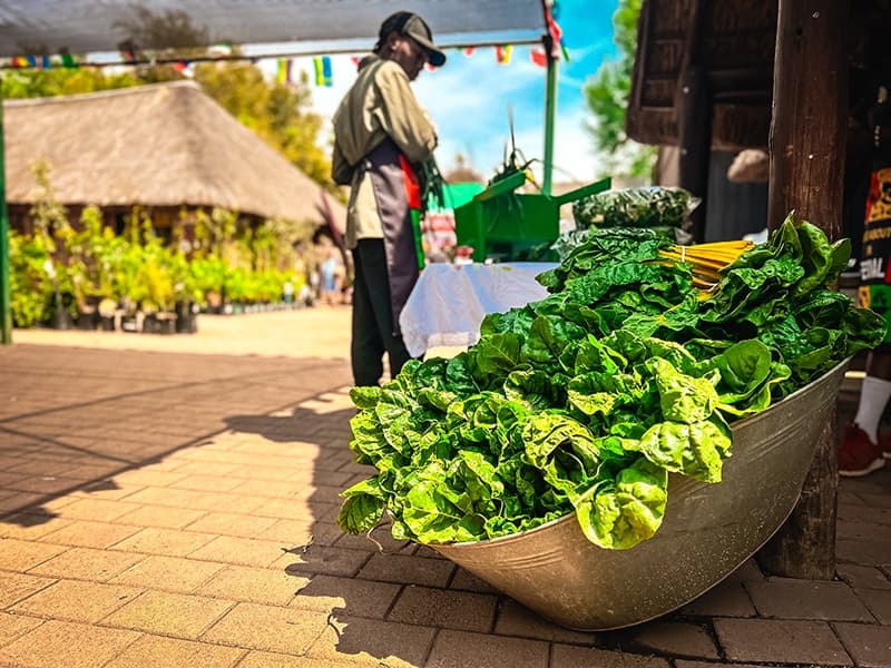 Grow To Eat Festival