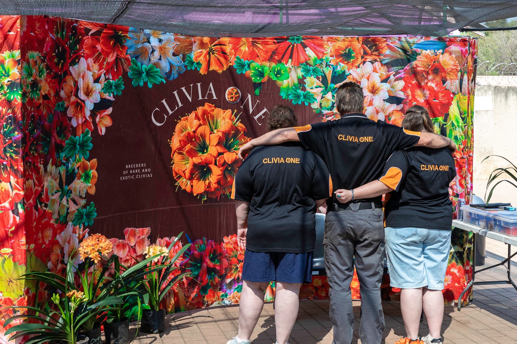 Clivia Show