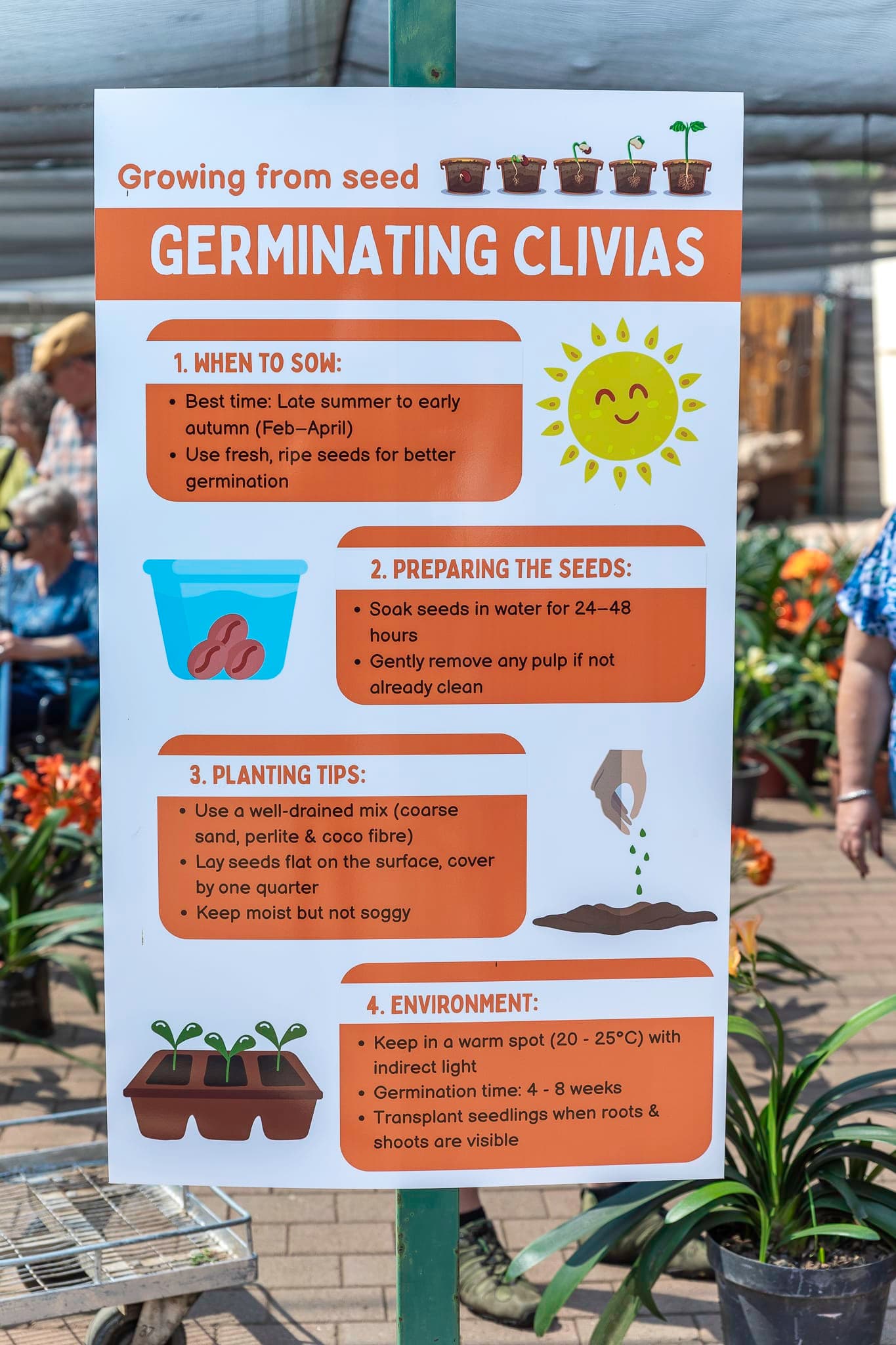 Clivia Show