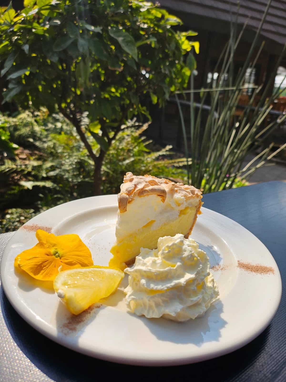 Café Ambrosia