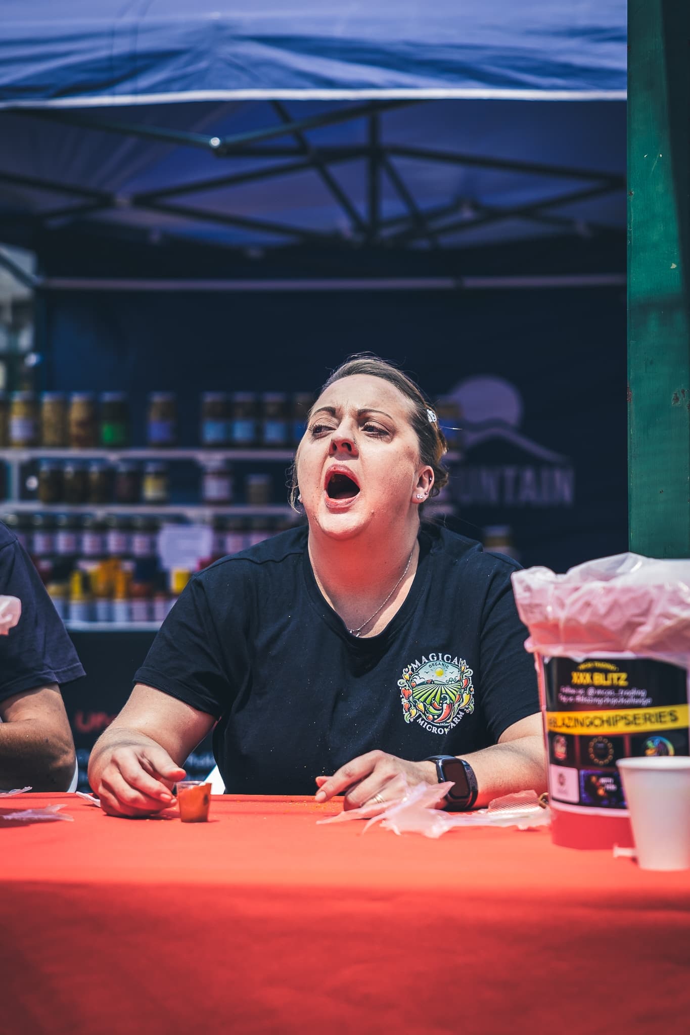 Chilli Festival
