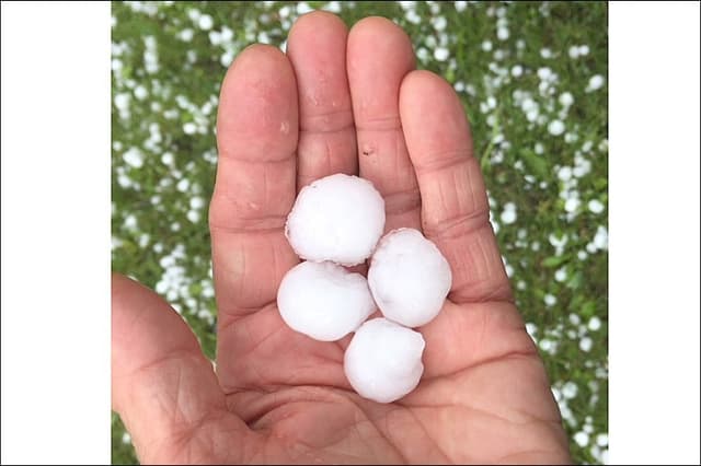 Don’t despair after the hail