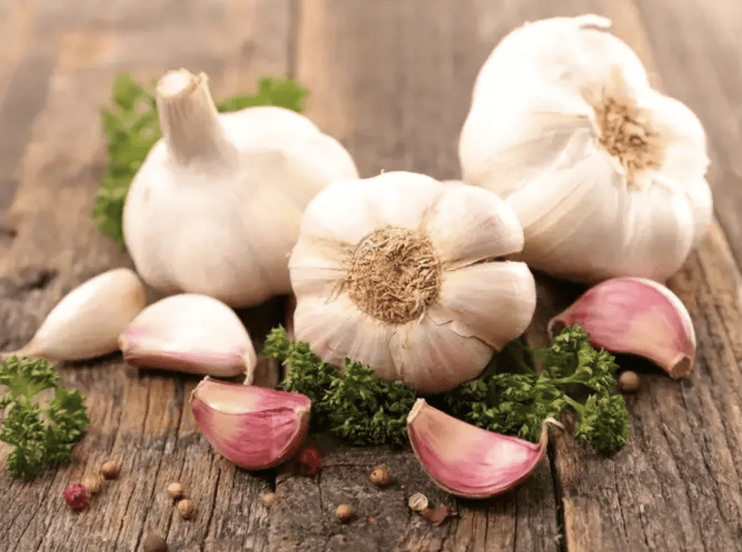Growing Great Garlic
