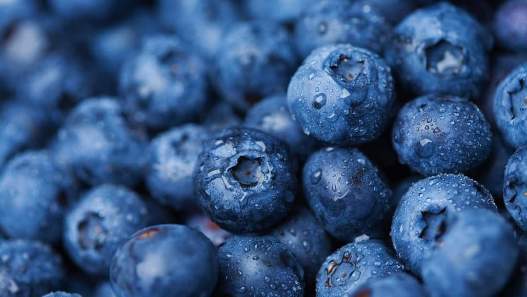 Grow your own Blueberries this summer