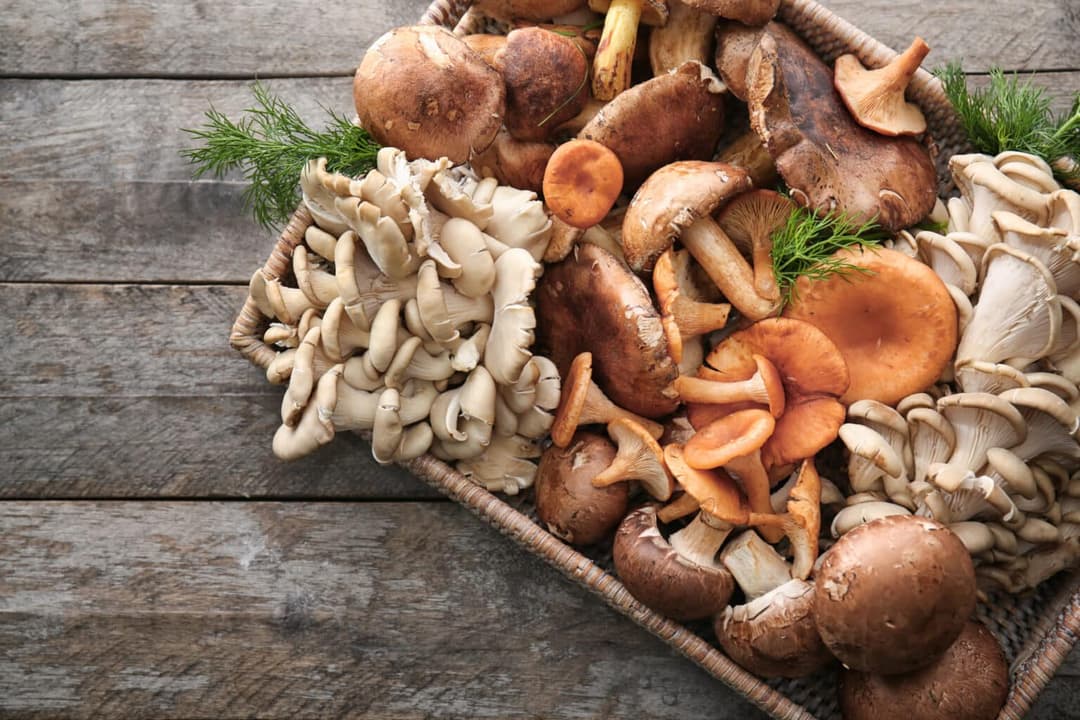 What the fungi