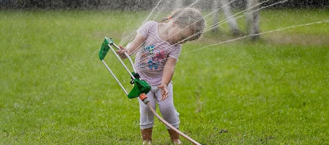 Gardening after the holiday
