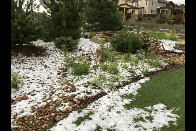 The hail strikes again