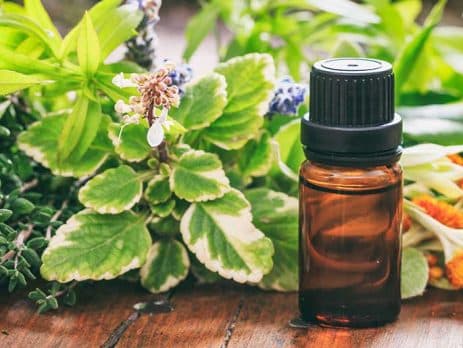 Herbs for Healthy Living